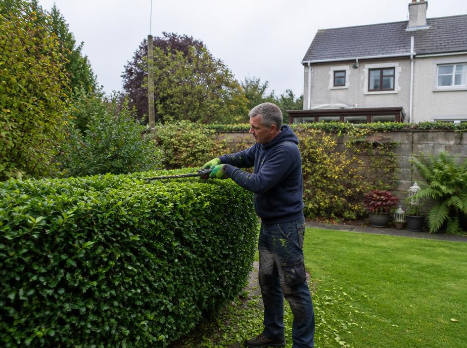 Gardening professional at work